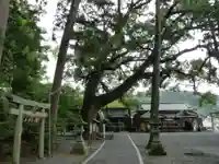 事任八幡宮のその他建物