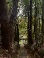 住吉神社(千葉県)