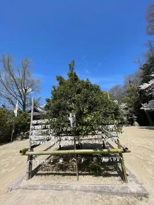 廣瀬大社(奈良県)