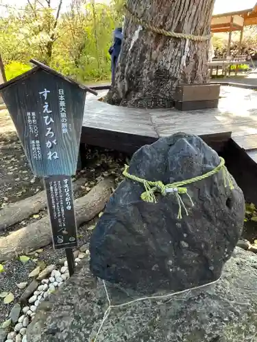 平野神社(京都府)