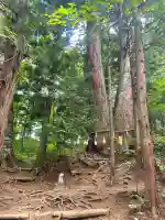 戸隠神社火之御子社の{uncategorized: "未分類", other: "その他", undefined: "問題あり", building: "その他建物", grave: "お墓", sacred_gate: "鳥居", guardian: "狛犬", statue: "像", buddha: "仏像", history: "歴史", nature: "自然", garden: "庭園", animal: "動物", pagoda: "塔", temizu: "手水舎", mountain_gate: "山門・神門", sanctuary: "本殿・本堂", subordinate: "末社・摂社", art: "芸術", scenery: "景色", jizo: "地蔵", ema: "絵馬", goshuin: "御朱印", omikuji: "おみくじ", items: "授与品その他", amulet: "お守り", goshuincho: "御朱印帳", eats: "食事", festival: "お祭り", votive_dance: "神楽", shichigosan: "七五三参", wedding: "結婚式", experience: "体験その他", initially: "初詣", around: "周辺", anti_infection: "感染症対策"}