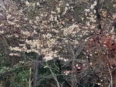 神藏寺(京都府)