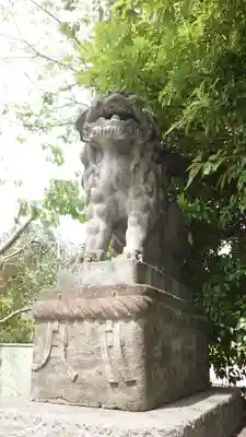 芝東照宮の狛犬