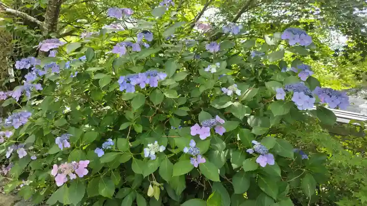 出雲大神宮(京都府)