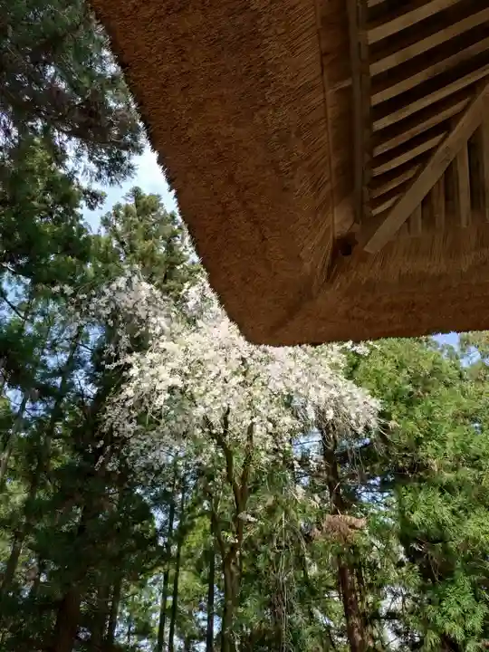 浄光寺(長野県)