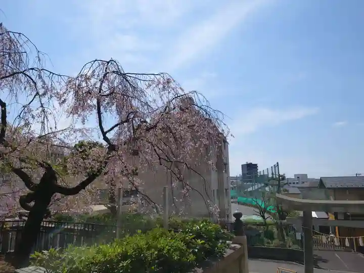 根岸八幡神社(神奈川県)