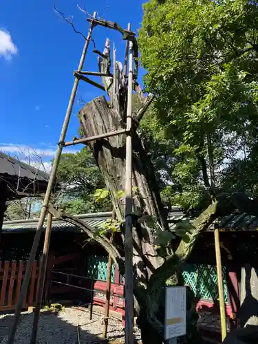 上野東照宮(東京都)