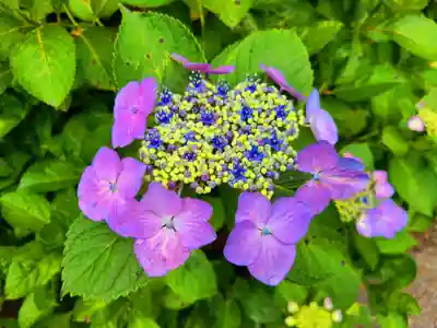 千光寺(福岡県)