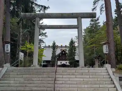 上川神社の鳥居