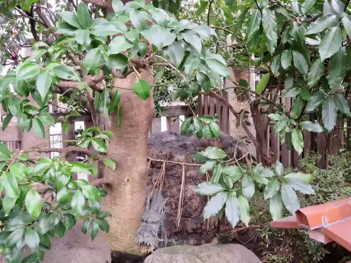 元祇園梛神社・隼神社のその他建物