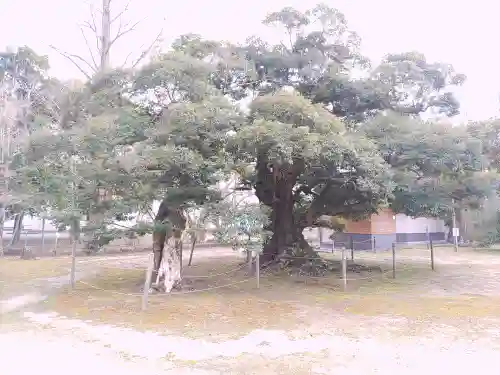 滑河山龍正院(千葉県)