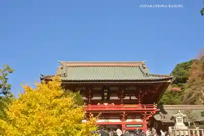 鶴岡八幡宮の本殿・本堂