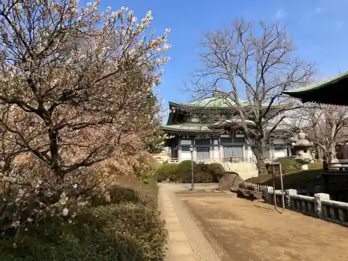 圓融寺の{uncategorized: "未分類", other: "その他", undefined: "問題あり", building: "その他建物", grave: "お墓", sacred_gate: "鳥居", guardian: "狛犬", statue: "像", buddha: "仏像", history: "歴史", nature: "自然", garden: "庭園", animal: "動物", pagoda: "塔", temizu: "手水舎", mountain_gate: "山門・神門", sanctuary: "本殿・本堂", subordinate: "末社・摂社", art: "芸術", scenery: "景色", jizo: "地蔵", ema: "絵馬", goshuin: "御朱印", omikuji: "おみくじ", items: "授与品その他", amulet: "お守り", goshuincho: "御朱印帳", eats: "食事", festival: "お祭り", votive_dance: "神楽", shichigosan: "七五三参", wedding: "結婚式", experience: "体験その他", initially: "初詣", around: "周辺", anti_infection: "感染症対策"}
