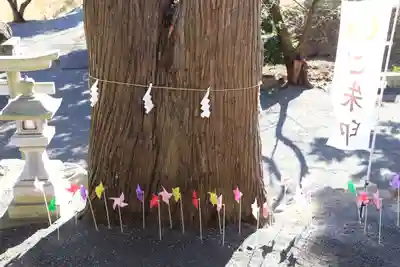 高司神社〜むすびの神の鎮まる社〜のその他建物