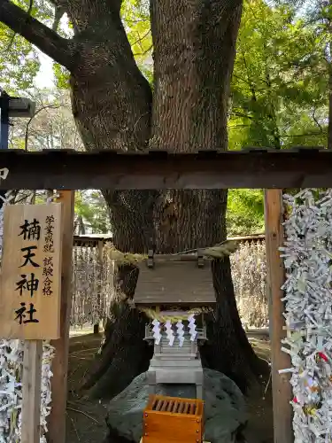 平塚八幡宮の{uncategorized: "未分類", other: "その他", undefined: "問題あり", building: "その他建物", grave: "お墓", sacred_gate: "鳥居", guardian: "狛犬", statue: "像", buddha: "仏像", history: "歴史", nature: "自然", garden: "庭園", animal: "動物", pagoda: "塔", temizu: "手水舎", mountain_gate: "山門・神門", sanctuary: "本殿・本堂", subordinate: "末社・摂社", art: "芸術", scenery: "景色", jizo: "地蔵", ema: "絵馬", goshuin: "御朱印", omikuji: "おみくじ", items: "授与品その他", amulet: "お守り", goshuincho: "御朱印帳", eats: "食事", festival: "お祭り", votive_dance: "神楽", shichigosan: "七五三参", wedding: "結婚式", experience: "体験その他", initially: "初詣", around: "周辺", anti_infection: "感染症対策"}