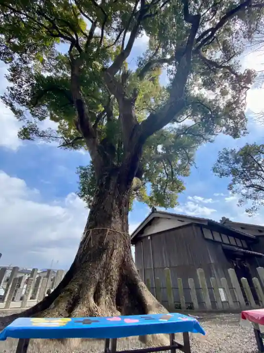 玉田神社の自然