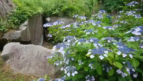 有珠善光寺(北海道)