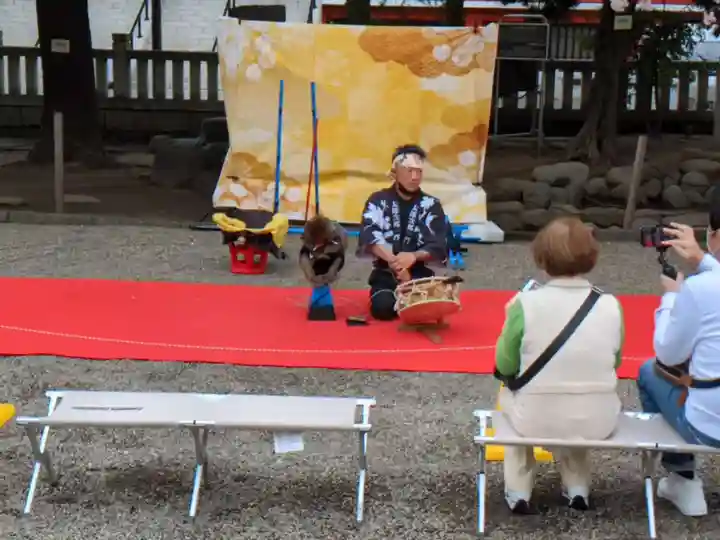 浅草神社のお祭り