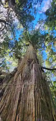 大悲山の石仏(福島県)