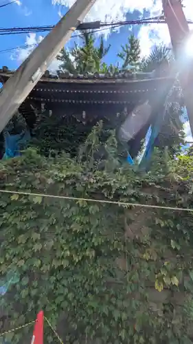 蓮澤寺（廃寺？）(京都府)