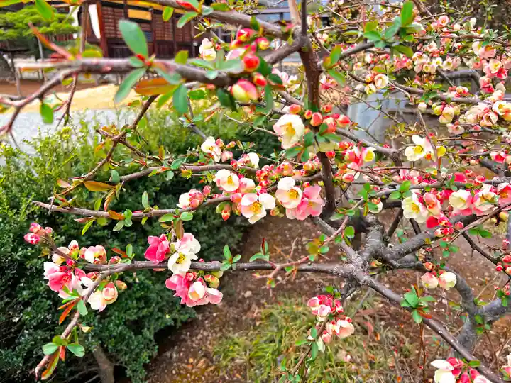 向嶽寺(山梨県)