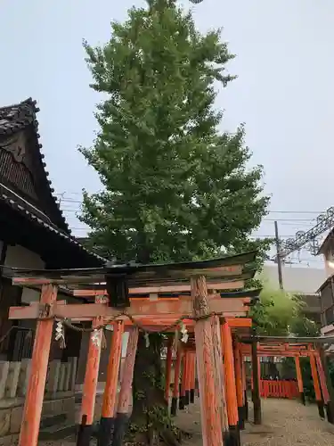 島頭天満宮(大阪府)