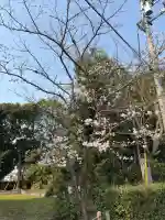 綱越神社(大神神社摂社)の{uncategorized: "未分類", other: "その他", undefined: "問題あり", building: "その他建物", grave: "お墓", sacred_gate: "鳥居", guardian: "狛犬", statue: "像", buddha: "仏像", history: "歴史", nature: "自然", garden: "庭園", animal: "動物", pagoda: "塔", temizu: "手水舎", mountain_gate: "山門・神門", sanctuary: "本殿・本堂", subordinate: "末社・摂社", art: "芸術", scenery: "景色", jizo: "地蔵", ema: "絵馬", goshuin: "御朱印", omikuji: "おみくじ", items: "授与品その他", amulet: "お守り", goshuincho: "御朱印帳", eats: "食事", festival: "お祭り", votive_dance: "神楽", shichigosan: "七五三参", wedding: "結婚式", experience: "体験その他", initially: "初詣", around: "周辺", anti_infection: "感染症対策"}
