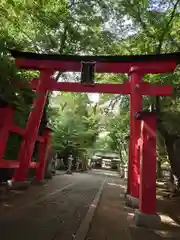 峯ヶ岡八幡神社の鳥居