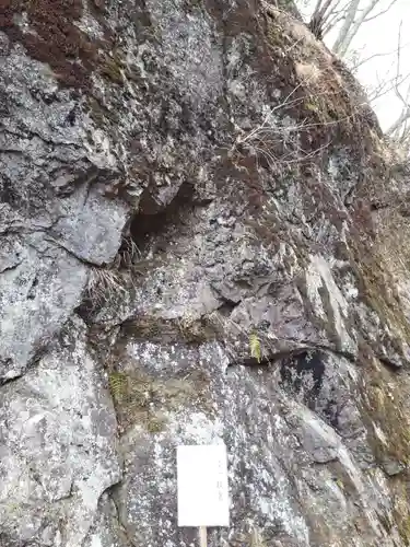 神橋(二荒山神社)の自然