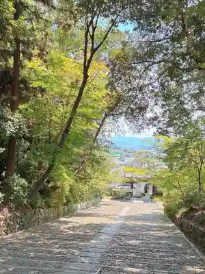 光明寺（粟生光明寺）(京都府)