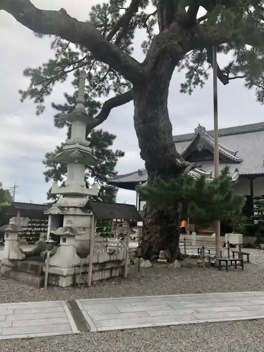 大慶寺のその他建物