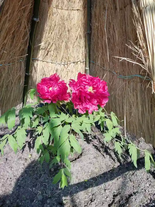 祐徳稲荷神社(佐賀県)