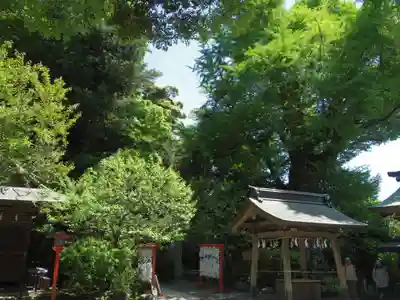 荏柄天神社のその他建物