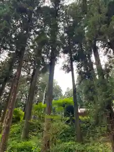 大宮温泉神社(栃木県)(2023年07月06日(木) 08時09分22秒投稿)