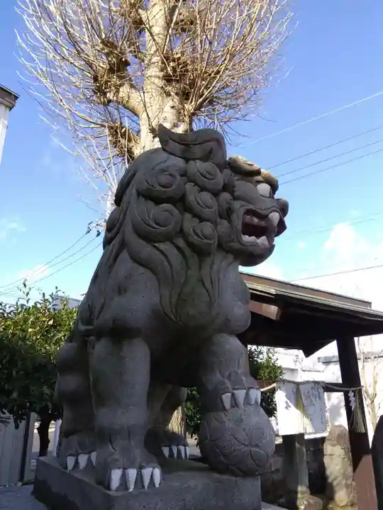 川上神社の狛犬