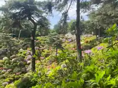 塩船観音寺(東京都)