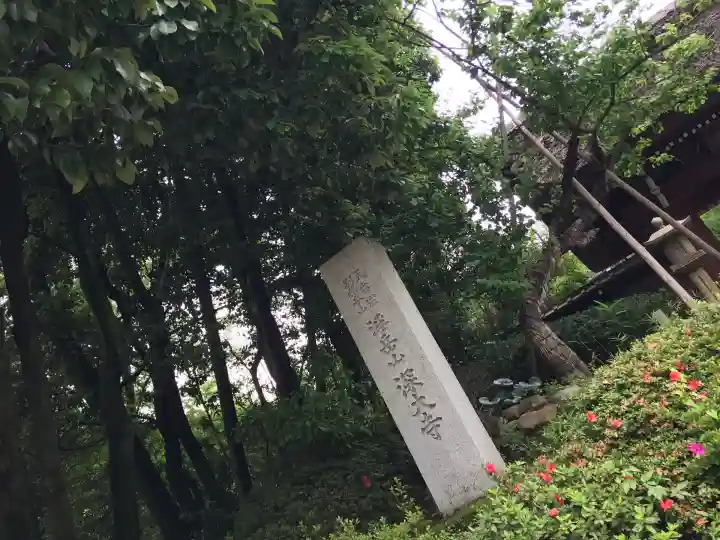 深大寺(東京都)