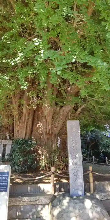 鶴嶺八幡宮の自然