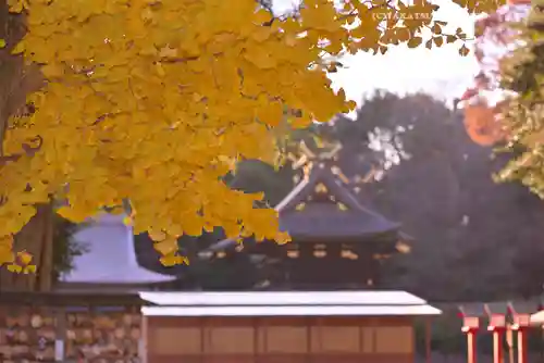 鷲宮神社の景色