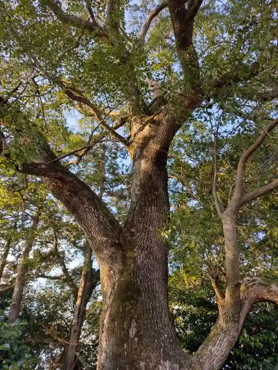 千引神社(三重県)