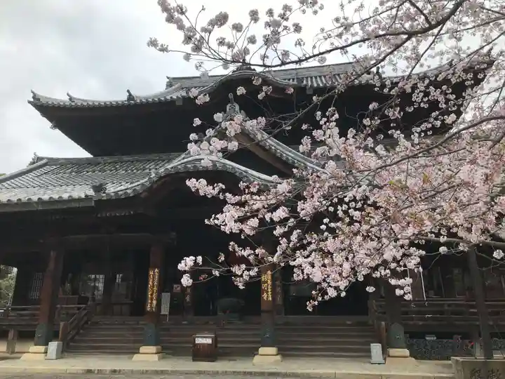 粉河寺の本殿・本堂