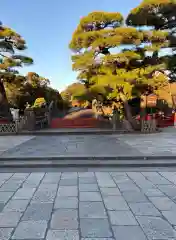 鶴岡八幡宮の庭園