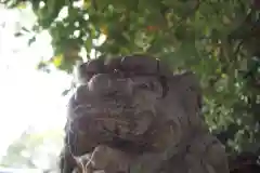 秋葉神社の狛犬