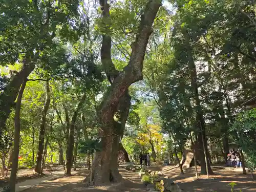 生田神社(兵庫県)