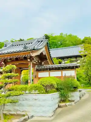 浄林寺の{uncategorized: "未分類", other: "その他", undefined: "問題あり", building: "その他建物", grave: "お墓", sacred_gate: "鳥居", guardian: "狛犬", statue: "像", buddha: "仏像", history: "歴史", nature: "自然", garden: "庭園", animal: "動物", pagoda: "塔", temizu: "手水舎", mountain_gate: "山門・神門", sanctuary: "本殿・本堂", subordinate: "末社・摂社", art: "芸術", scenery: "景色", jizo: "地蔵", ema: "絵馬", goshuin: "御朱印", omikuji: "おみくじ", items: "授与品その他", amulet: "お守り", goshuincho: "御朱印帳", eats: "食事", festival: "お祭り", votive_dance: "神楽", shichigosan: "七五三参", wedding: "結婚式", experience: "体験その他", initially: "初詣", around: "周辺", anti_infection: "感染症対策"}