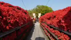 長岡天満宮の建物その他