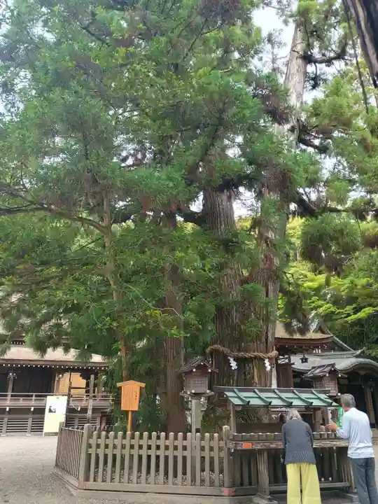 大神神社(奈良県)