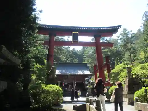 北口本宮冨士浅間神社の鳥居