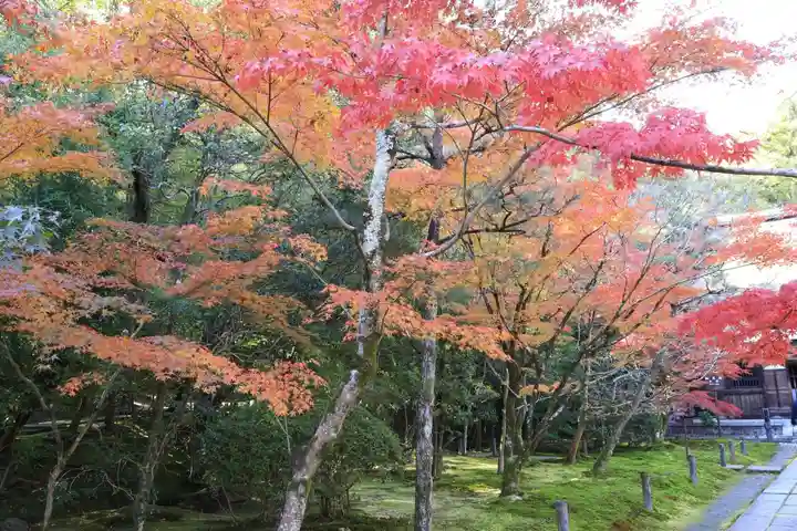 酬恩庵一休寺(京都府)