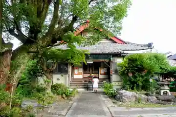 道智山 遍照院の本殿・本堂